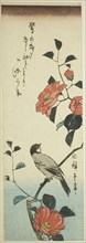 Camellia flowers and bullfinch, c. 1843/47, Utagawa Hiroshige ?? ??, Japanese, 1797-1858, Japan,