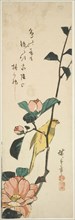 Canary and camellias, 1840s, Utagawa Hiroshige ?? ??, Japanese, 1797-1858, Japan, Color woodblock