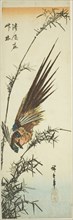 Pheasant and bamboo, 1840s, Utagawa Hiroshige ?? ??, Japanese, 1797-1858, Japan, Color woodblock