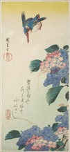 Kingfisher and hydrangea, 1830s, Utagawa Hiroshige ?? ??, Japanese, 1797-1858, Japan, Color