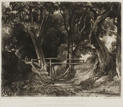 A Dell, Helmingham Park, Suffolk, 1830, David Lucas (English, 1802-1881), after John Constable