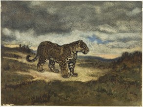 Jaguar Standing, 1830/50, Antoine Louis Barye, French, 1795-1875, France, Watercolor, with black