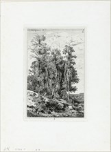 Birches and Oaks, 1848, printed 1849, Henri Joseph Harpignies, French, 1819-1916, France, Etching