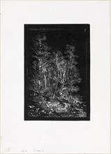 Trees, 1848, Henri Joseph Harpignies, French, 1819-1916, France, Etching printed in relief on ivory