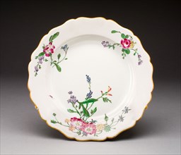 Plate, c. 1770, Veuve Perrin Manufactory, French, 1748-1803, Marseille, Tin-glazed earthenware