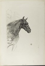 Philibert the Pony, 1898, Henri de Toulouse-Lautrec, French, 1864-1901, France, Lithograph on ivory