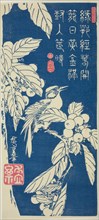 Loquat and bird, c. 1830/44, Utagawa Hiroshige ?? ??, Japanese, 1797-1858, Japan, Color woodblock