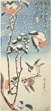 Sparrows and Camellia in Snow, c. 1831/33, Utagawa Hiroshige ?? ??, Japanese, 1797–1858, Japan,