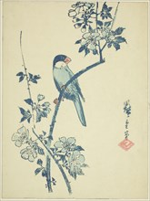 Java sparrow on cherry branch, c. 1830/44, Utagawa Hiroshige ?? ??, Japanese, 1797-1858, Japan,