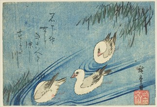 Oystercatchers, c. 1833/34, Utagawa Hiroshige ?? ??, Japanese, 1797-1858, Japan, Color woodblock