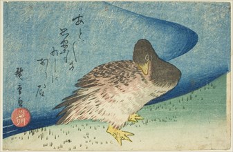 Goose on riverbank, c. 1833/34, Utagawa Hiroshige ?? ??, Japanese, 1797-1858, Japan, Color