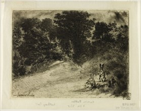 Combe Bottom, 1860, Francis Seymour Haden, English, 1818-1910, England, Etching and drypoint on