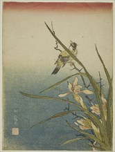 Orchid and Bird, c. 1770, Isoda Koryusai, Japanese, 1735-1790, Japan, Color woodblock print,