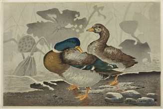 A pair of ducks by a lotus pond, 1879, Kobayashi Kiyochika, Japanese, 1847-1915, Japan, Color