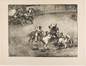 Picador Caught by a Bull, from The Bulls of Bordeaux, 1825, Francisco José de Goya y Lucientes