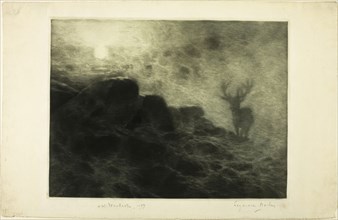 An Early Riser, 1897, Francis Seymour Haden, English, 1818-1910, England, Mezzotint with etching,