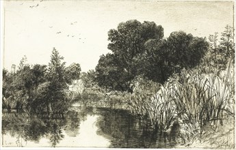 Shere Mill Pond, No. II (large plate), c. 1860, Francis Seymour Haden, English, 1818-1910, England,