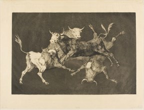 Fool’s Folly, from Disparates, 1816–19, published 1877, Francisco José de Goya y Lucientes