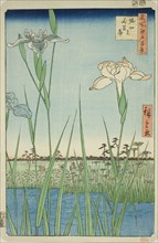 Irises at Horikiri (Horikiri no hanashobu), from the series One Hundred Famous Views of Edo (Meisho