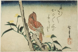 Kingfisher and dayflower, 1830s, Utagawa Hiroshige ?? ??, Japanese, 1797-1858, Japan, Color