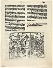 The Baptism of Christ and Forest Scene from Leven Christi (Life of Christ), Plate 43 from Woodcuts