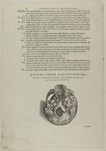 Leaf from De humani corporis fabrica (skull), plate 100 from Woodcuts from Books of the XVI