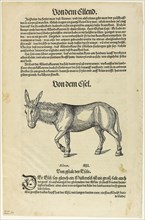 Illustration from Thierbuch, plate 42 from Woodcuts from Books of the XVI Century, 1563, assembled