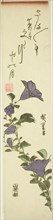 Chinese Bell Flowers, c. 1830s, Utagawa Hiroshige ?? ??, Japanese, 1797-1858, Japan, Color