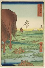 Kogane Plain in Shimosa Province (Shimosa Koganehara), from the series Thirty-six Views of Mount