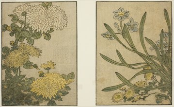 Chrysanthemum and Narcissus, from the illustrated book Picture Book: Flowers of the Four Seasons