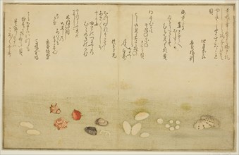 Sudare-gai, hana-gai, sakura-gai, mumeno-gai, nadeshiko-gai, and kinuta-gai, from the illustrated