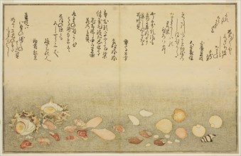 Shiro-gai, namima-gashiwa, makura-gai, iro-gai, aza-gai, sadae-gai, from the illustrated book Gifts
