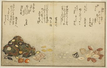 Ashi-gai, hamaguri, ko-gai, suzume-gai, akoya-gai, and katashi-gai, from the illustrated book Gifts