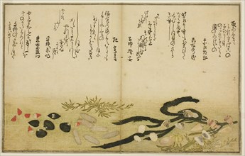 Minashi-gai, shio-gai, katatsu-gai, miso-gai, chijimi-gai, and chigusa-gai, from the illustrated