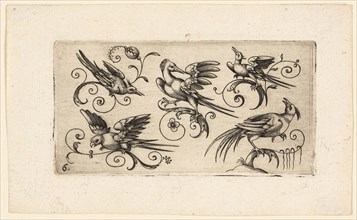 Ornament Panels with Birds: Plate 6, 1617, Adrian Muntink, Dutch, active 1597-1617, Netherlands,