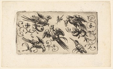 Ornament Panels with Birds: Plate 7, 1617, Adrian Muntink, Dutch, active 1597-1617, Netherlands,