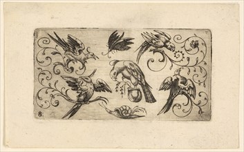 Ornament Panels with Birds: Plate 8, 1617, Adrian Muntink, Dutch, active 1597-1617, Netherlands,