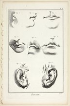 Design: Facial Anatomy from Encyclopédie, 1762/77, A. J. Defehrt (French, active 18th century),