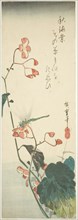 Dragonfly and begonia, 1830s, Utagawa Hiroshige ?? ??, Japanese, 1797-1858, Japan, Color woodblock