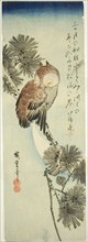 Small-horned owl, pine, and crescent moon, 1830s, Utagawa Hiroshige ?? ??, Japanese, 1797-1858,