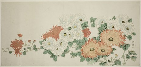 Chrysanthemums, c. 1780, Isoda Koryusai, Japanese, 1735-1790, Japan, Color woodblock print, nagaban