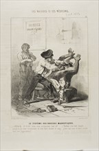The Magnetic Brush Method (plate 21), 1843, Charles Émile Jacque, French, 1813-1894, France,