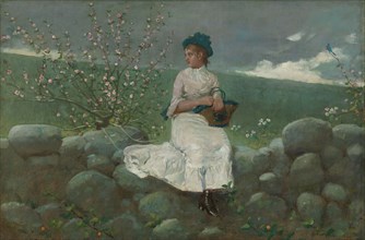 Peach Blossoms, 1878, Winslow Homer, American, 1836–1910, United States, Oil on canvas, 33.7 × 49