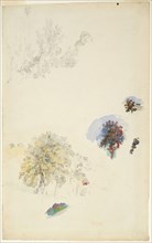 Studies of Trees and Foliage, 1884/87, Pierre Auguste Renoir, French, 1841-1919, France, Pen and