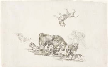 Bull Attacked by Dogs, 1824–25, Francisco José de Goya y Lucientes, Spanish, 1746-1828, Spain,