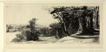 Early Morning, Richmond Park, 1859, Francis Seymour Haden, English, 1818-1910, England, Etching on