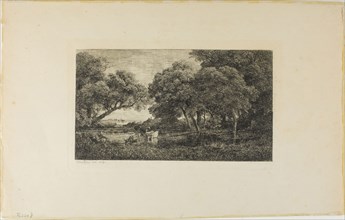 Cattle by a Pool, c. 1850, Charles François Daubigny, French, 1817-1878, France, Etching on cream