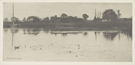 The Fringe of the Mere, c. 1883/87, printed 1888, Peter Henry Emerson, English, born Cuba,