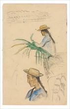 Sketches of Figures, Pandanus Leaf, and Vanilla Plant, 1891/93, Paul Gauguin, French, 1848-1903,