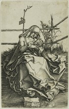 Madonna on a Grassy Bank, 1566, After Albrecht Dürer (German, 1471-1528), Germany, Engraving on
